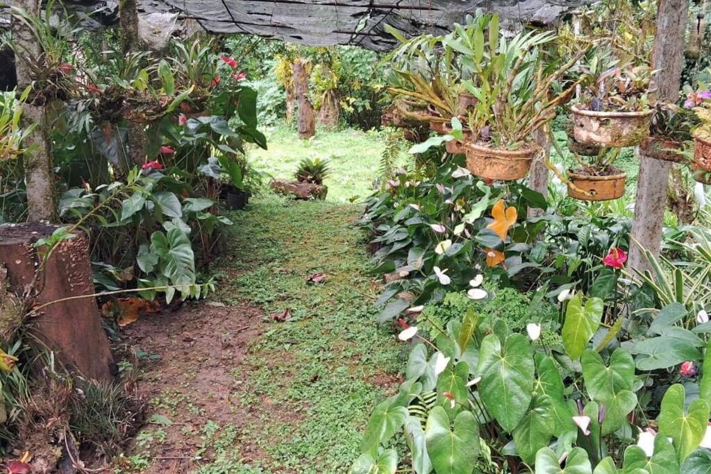 Sitio Som Das Aguas Benedito Novo Exterior foto