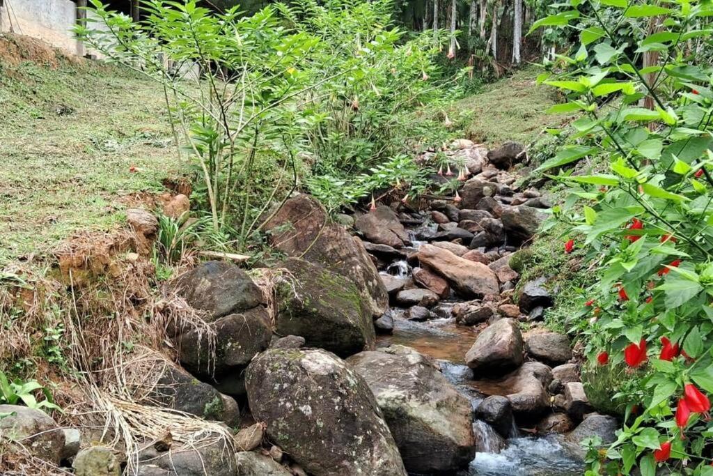 Sitio Som Das Aguas Benedito Novo Exterior foto