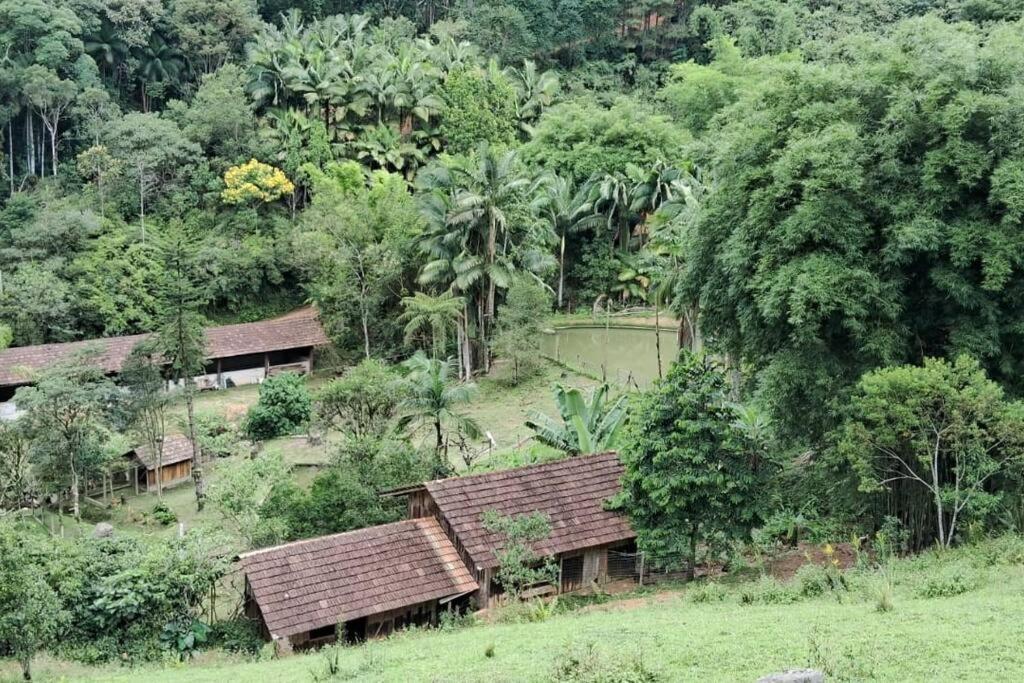 Sitio Som Das Aguas Benedito Novo Exterior foto
